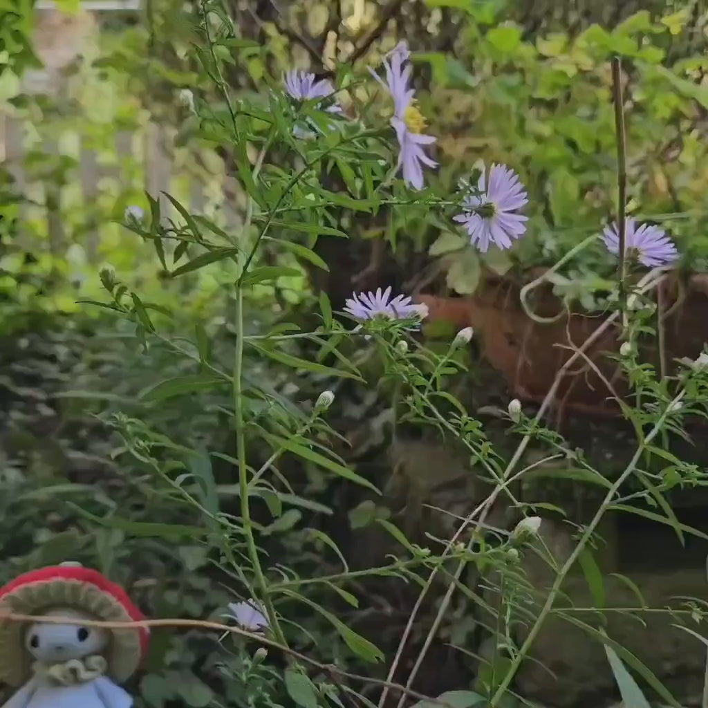 Enchanting Mushroom Guy Crochet Pattern - Amigurumi Critter Stitch for Beginners